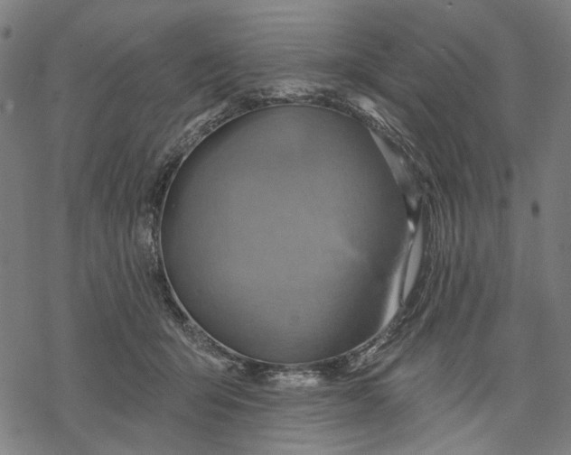 X0000068320415200605051601
