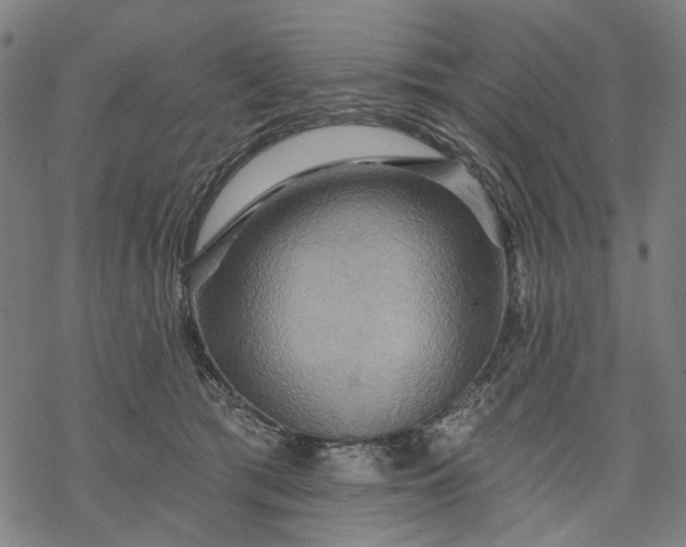 X0000068320417200605051601
