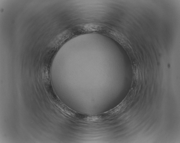 X0000068320418200605051601