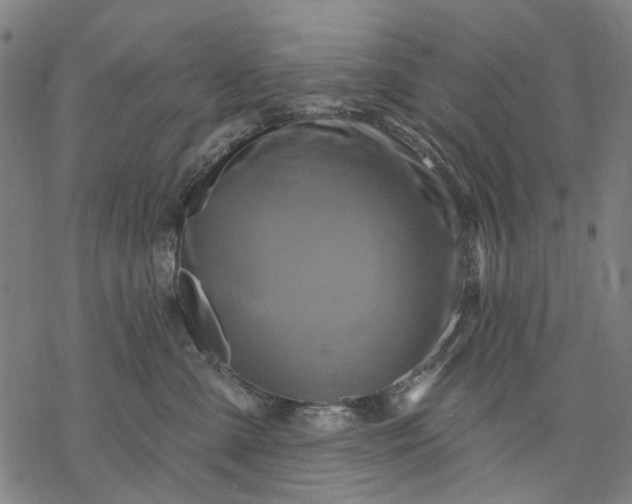 X0000068320427200605051601