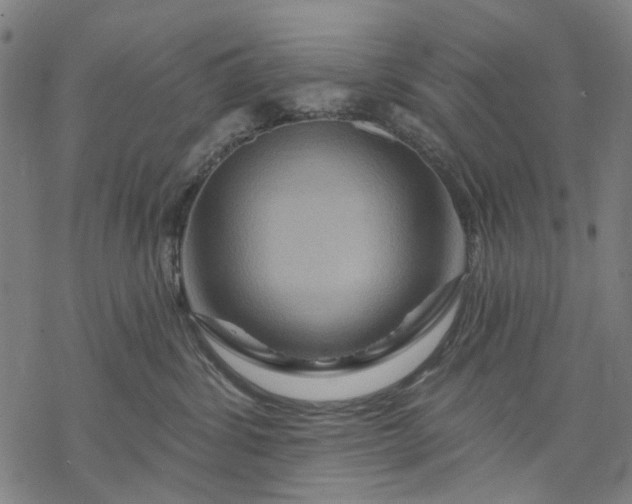 X0000068320428200605051601