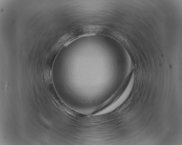 X0000068320429200605051601