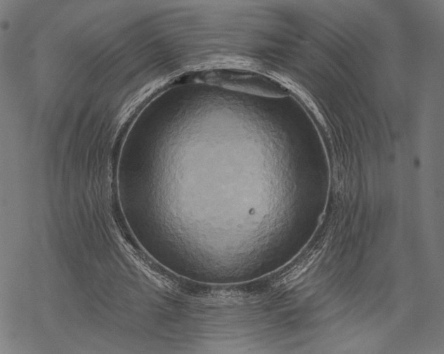 X0000068320437200605051600