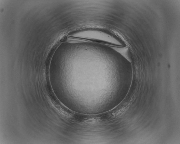 X0000068320447200605051600