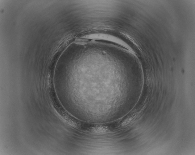 X0000068320451200605051600