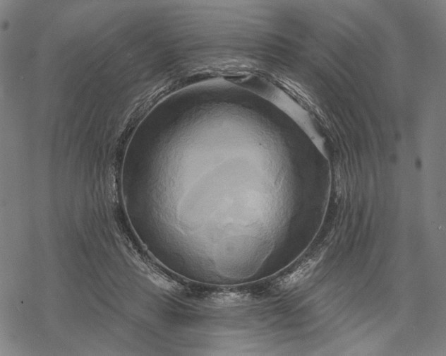 X0000068320453200605051600