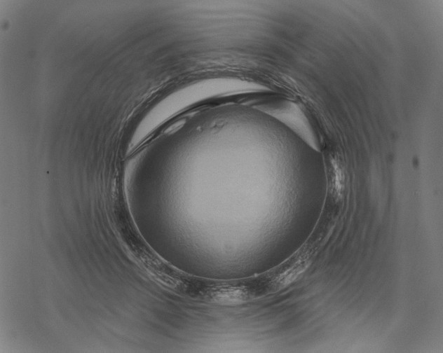 X0000068320456200605051601