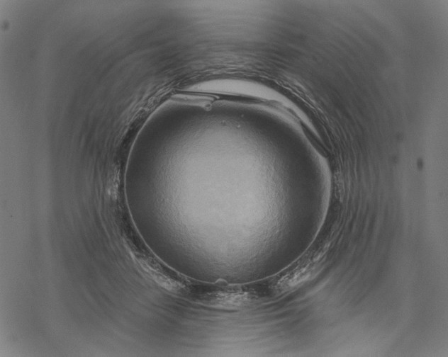 X0000068320458200605051601