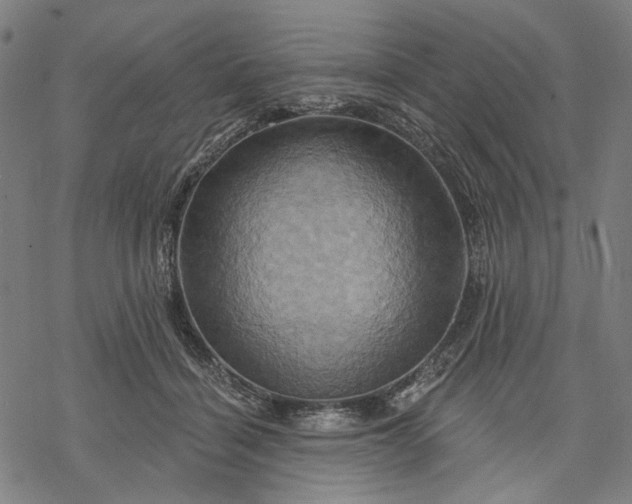 X0000068320460200605051601