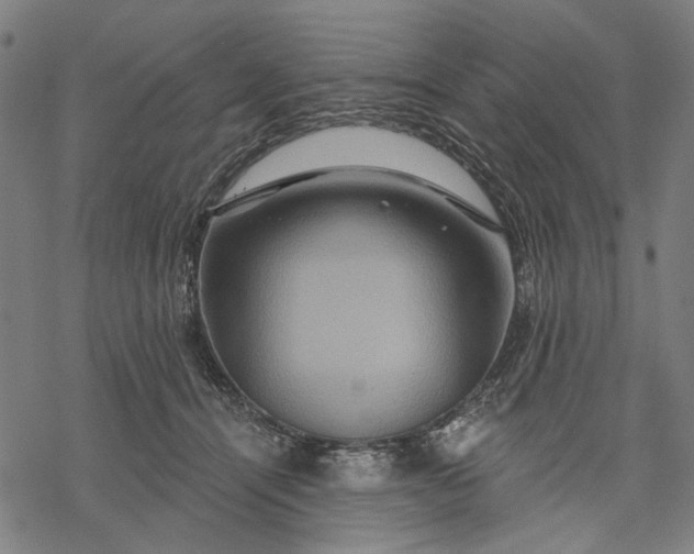 X0000068320464200605051601