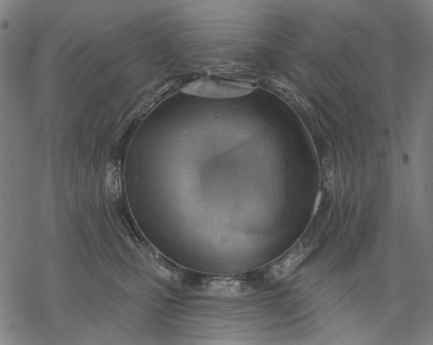 X0000068320471200605051601
