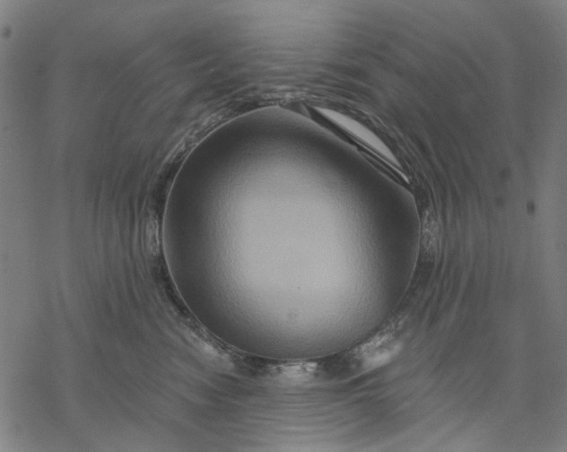 X0000068320474200605051601