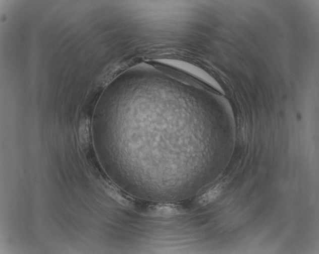 X0000068320475200605051601