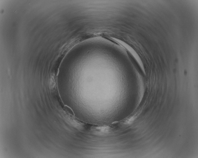 X0000068320478200605051601