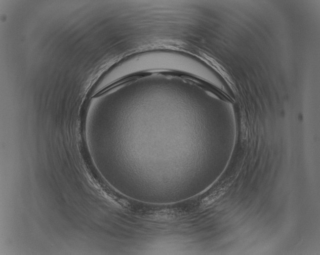 X0000068320485200605051600