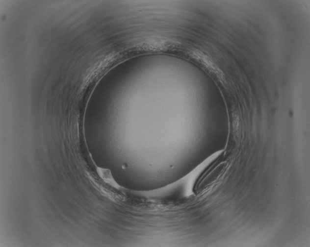 X0000068320493200605051600