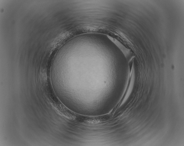 X0000068320500200605051600