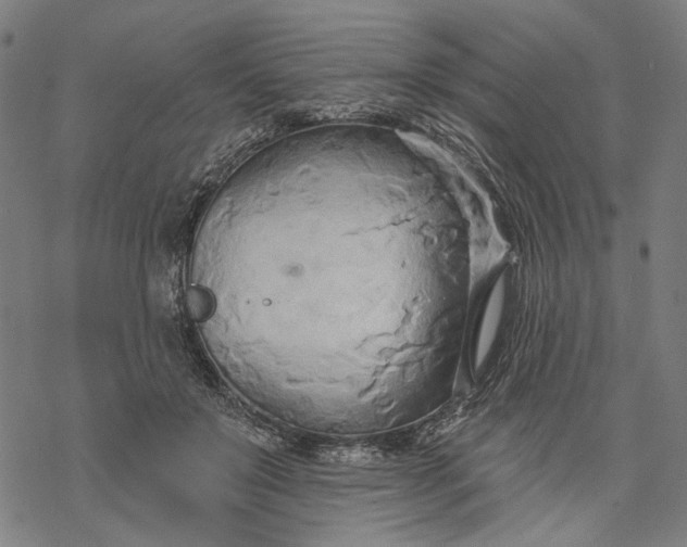 X0000068320503200605051600