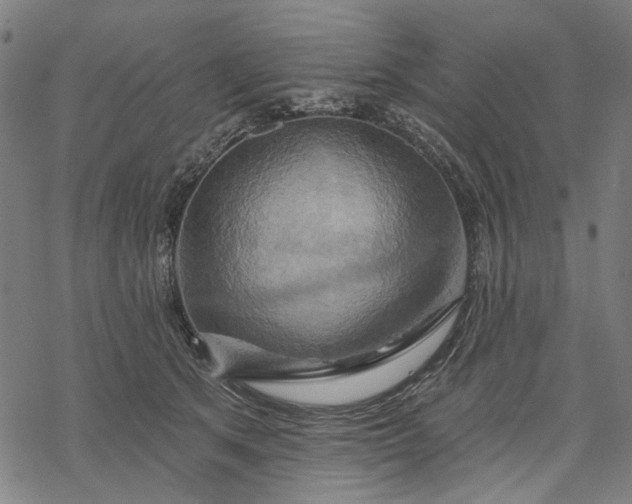 X0000068320513200605051600