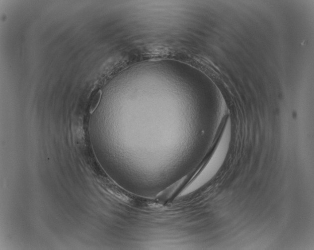 X0000068320516200605051600