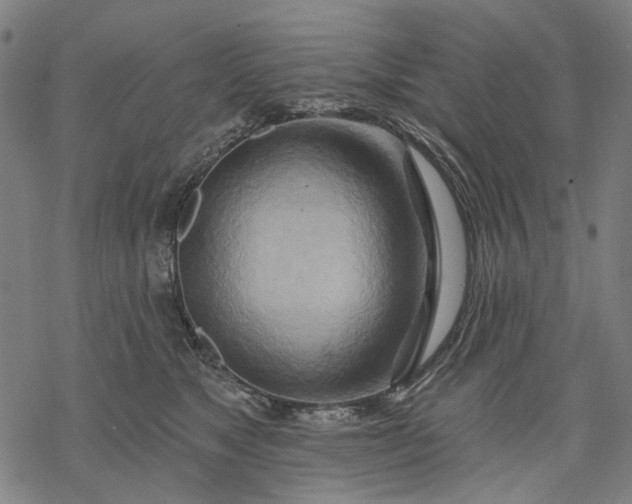 X0000068320517200605051600