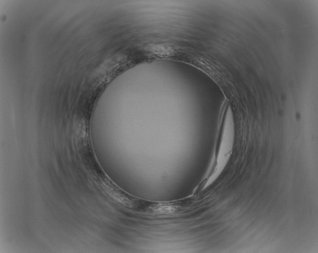 X0000068320518200605051600