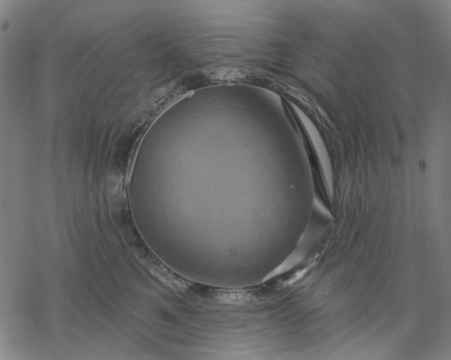 X0000068320521200605051559