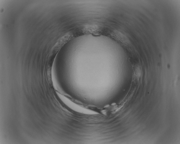 X0000068320526200605051559