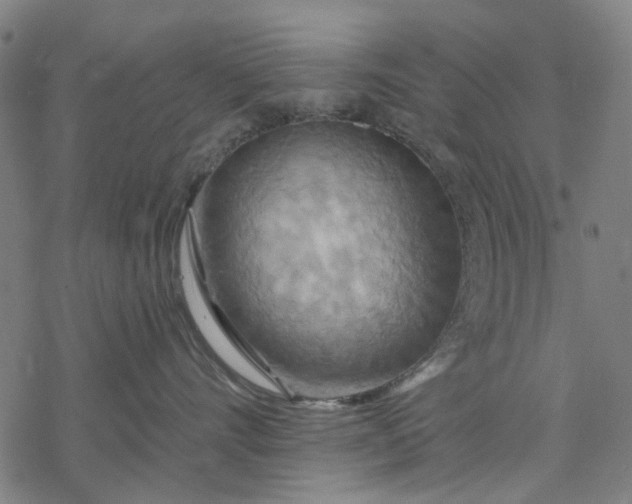 X0000068320528200605051559