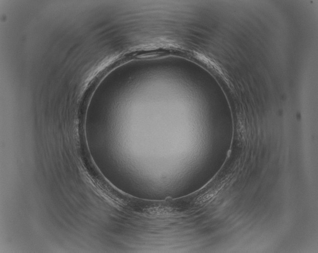 X0000068320535200605051559