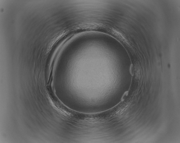 X0000068320538200605051559