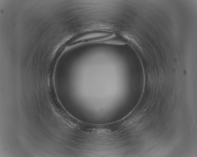 X0000068320539200605051559