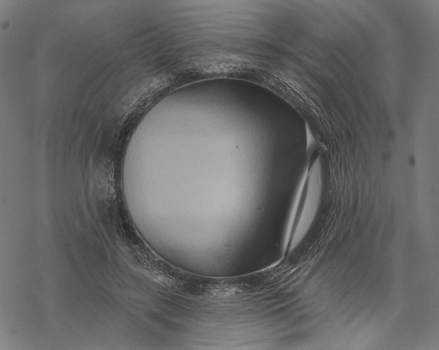 X0000068320547200605051559