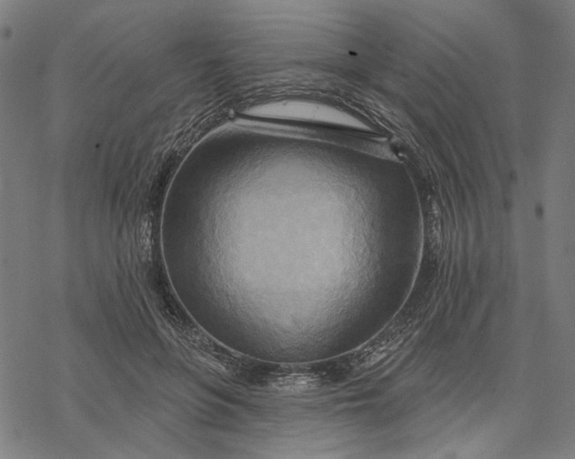 X0000068320551200605051559