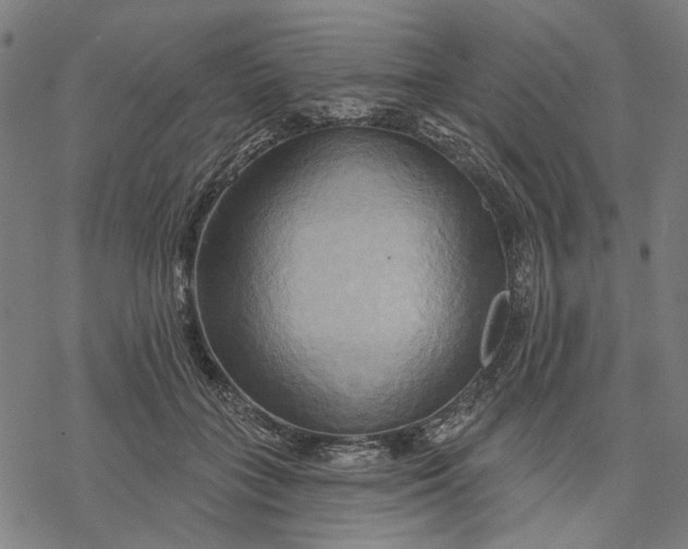 X0000068320555200605051559