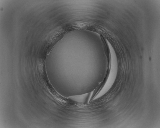 X0000068320562200605051559
