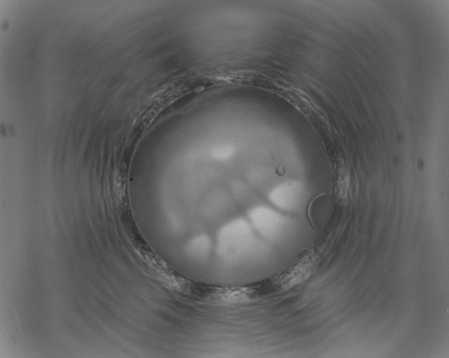 X0000068320569200605051559