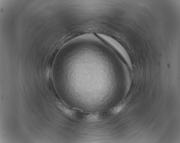 X0000068320574200605051559