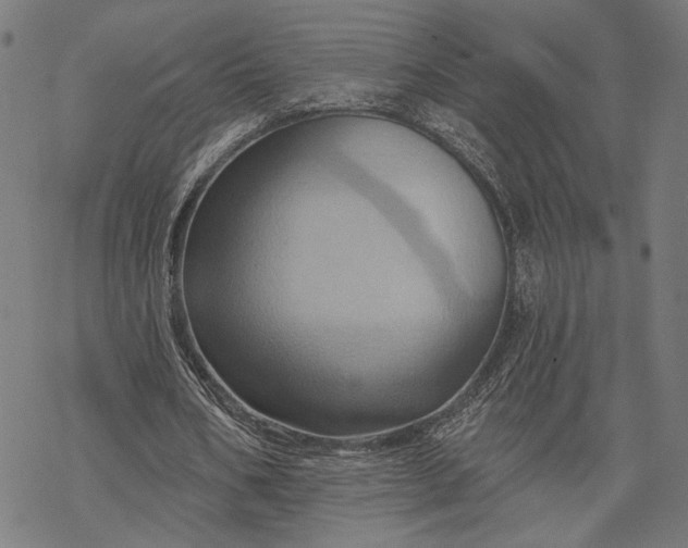 X0000068320578200605051559