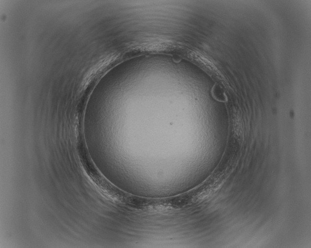 X0000068320586200605051558