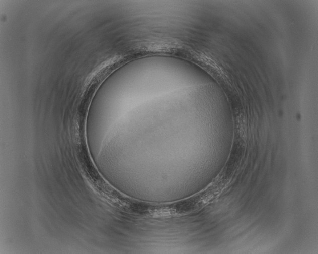 X0000068320587200605051558