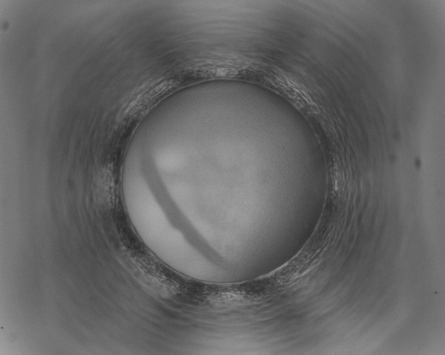 X0000068320594200605051558