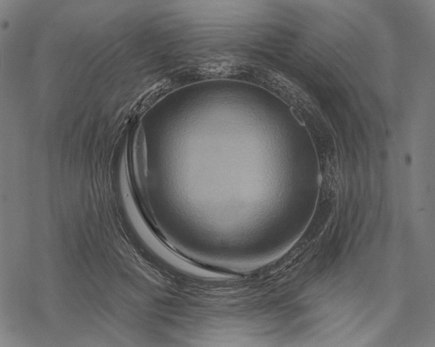 X0000068320601200605051558