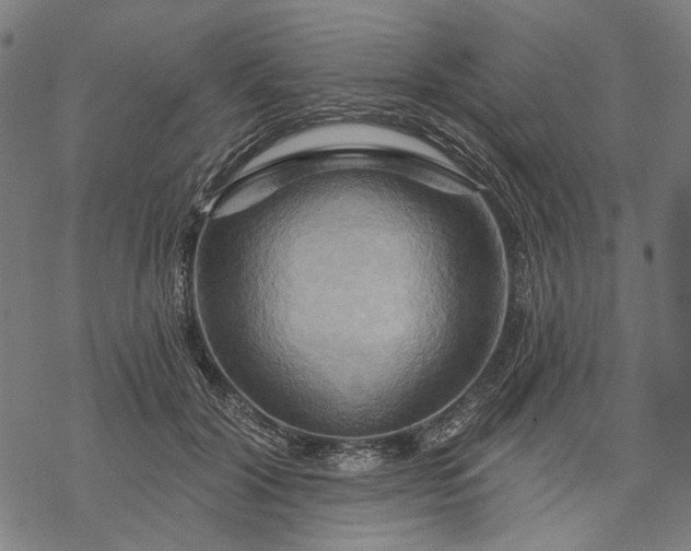 X0000068320604200605051558