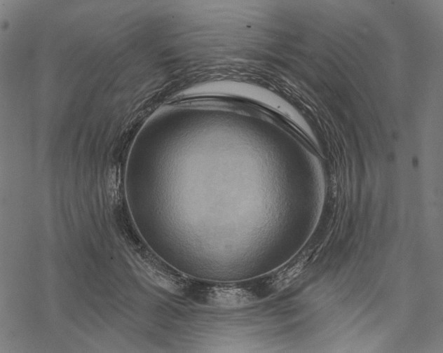 X0000068320605200605051558