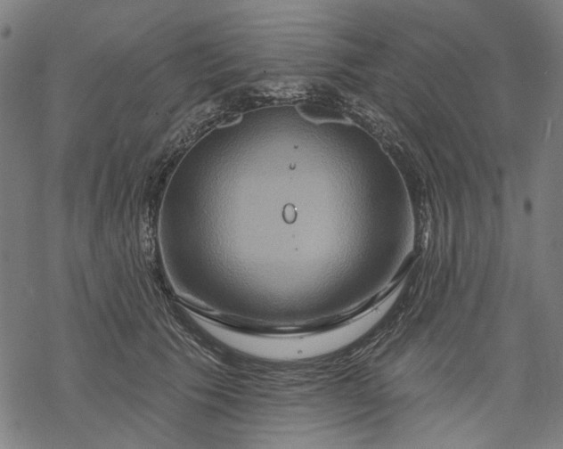 X0000068320609200605051558