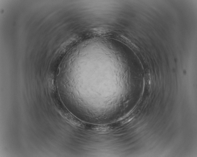 X0000068320615200605051558