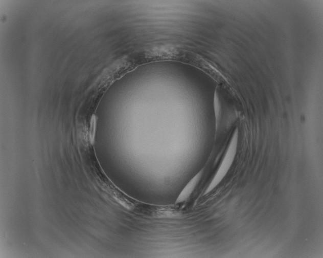 X0000068320617200605051558