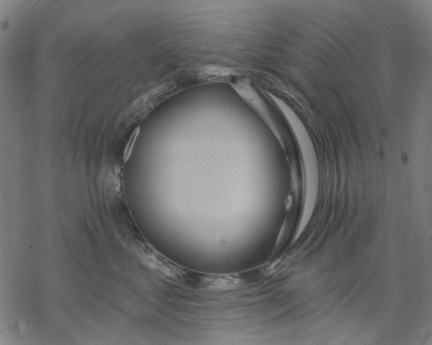X0000068320621200605051558