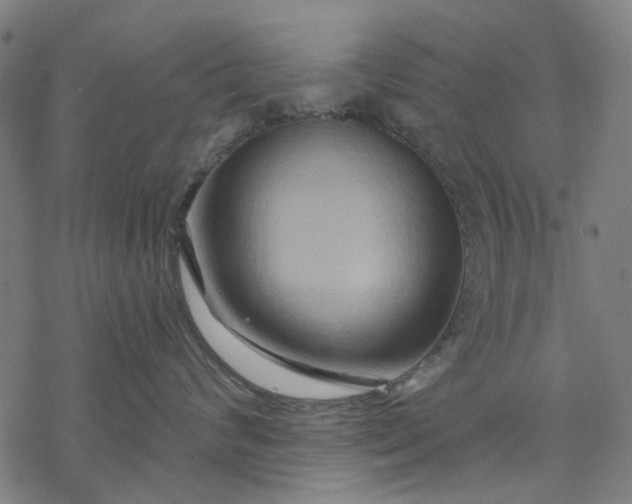 X0000068320624200605051558